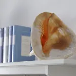 A Babordo Panzió Trapani